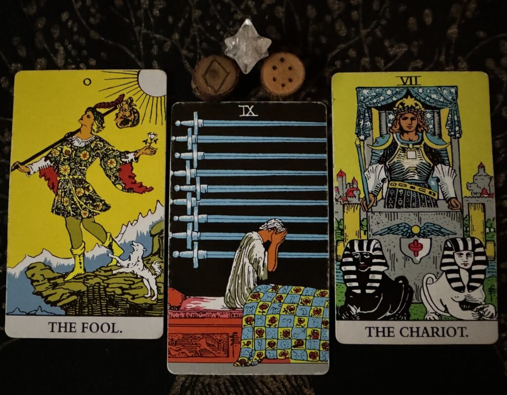 Runes: Inguz, Carcer
Cards: The Fool, 9 of Swords, The Chariot