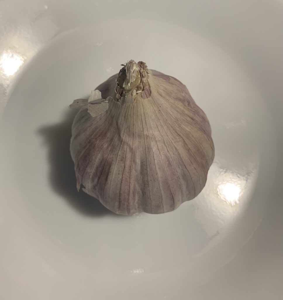 Garlic